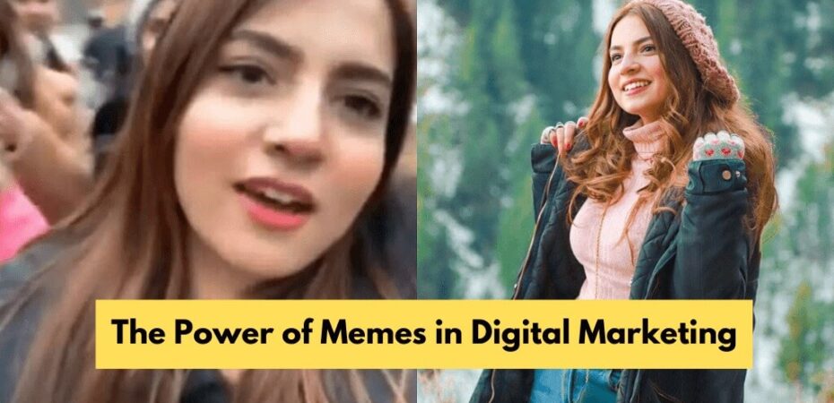 Power Of Memes In Digital Marketing